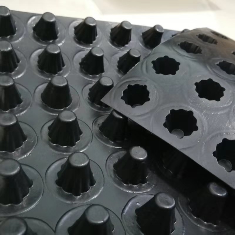 黑色排水板